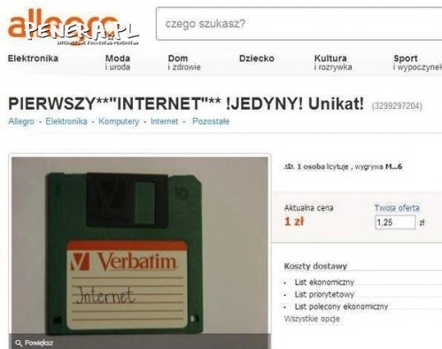 Pierwszy internet