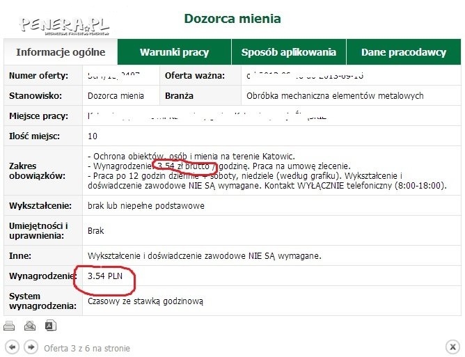 To dopiero oferta pracy