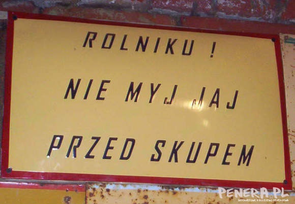 Rolniku nie myj jaj przed skupem