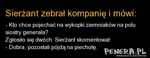 Sierżant zebrał kompanię i mówi: