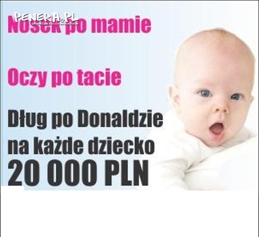 Prezent od Donalda