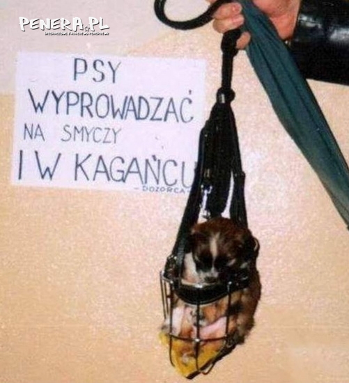 Wszystko zgodnie z prawem :D