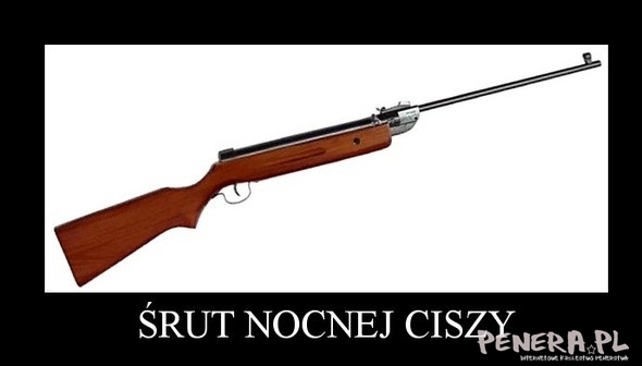 Śrut nocnej ciszy