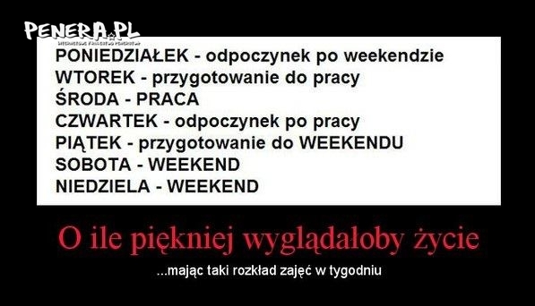 Rozkład dni tygodnia