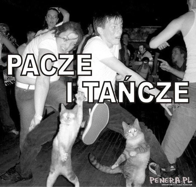 Pacze i tańcze