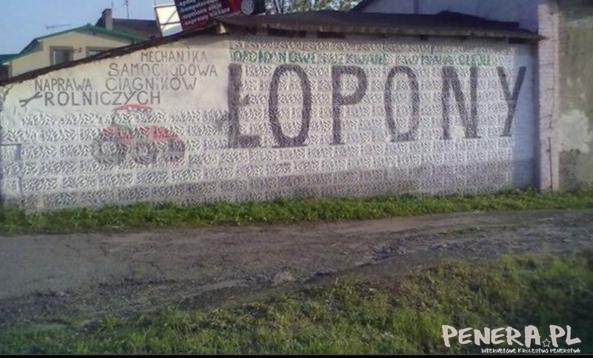 Łopony