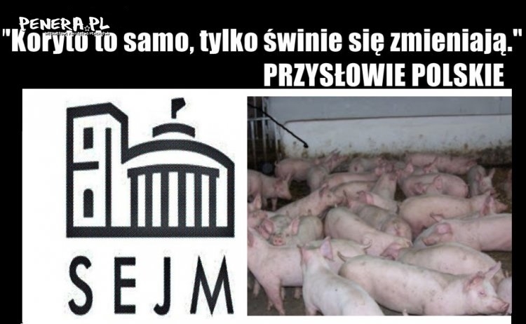 Polskie przysłowia