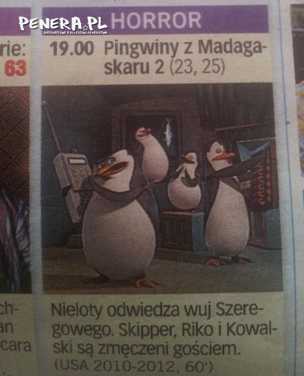 Pingwiny z Madagaskaru to horror!