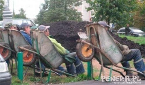 Robota nie zając nie ucieknie