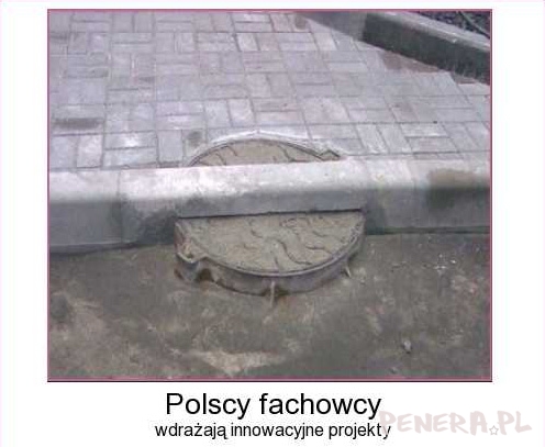 Polscy fachowcy