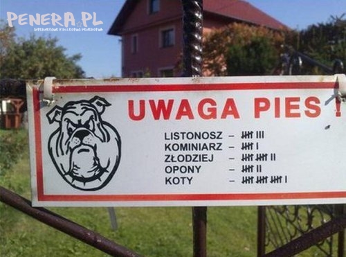 Uwaga pies