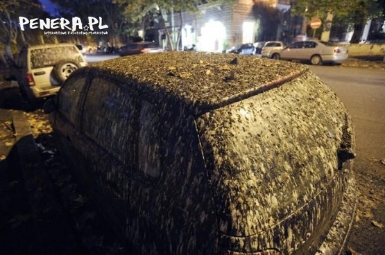 Parking strzeżony