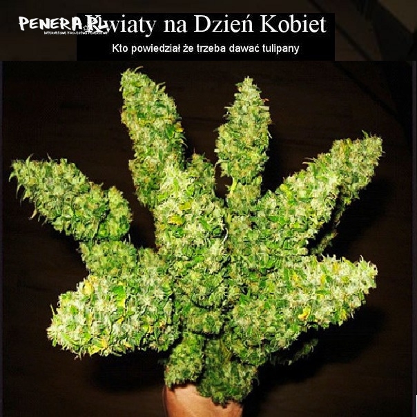 Kwiaty na Dzień Kobiet