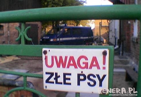 Uwaga złe psy!