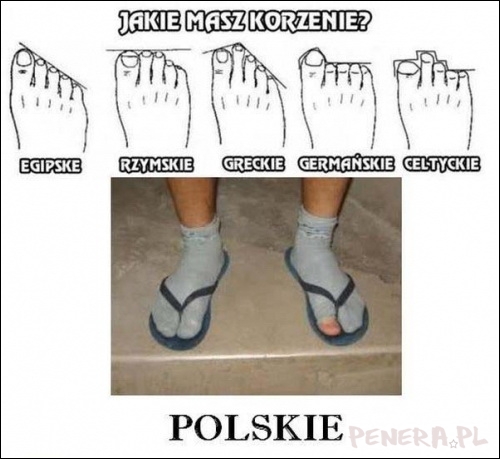 Jakie masz korzenie?