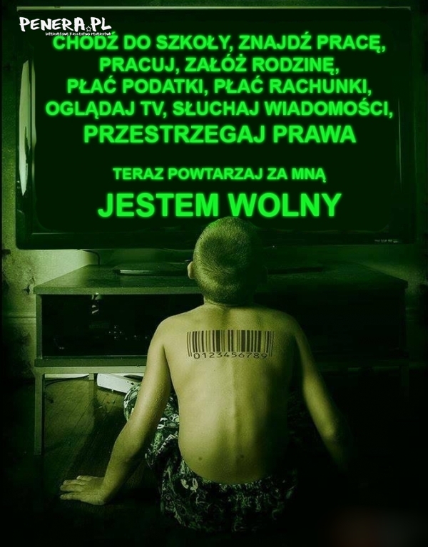 Jesteś wolny