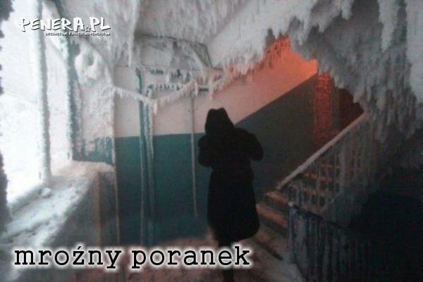 Mroźny poranek