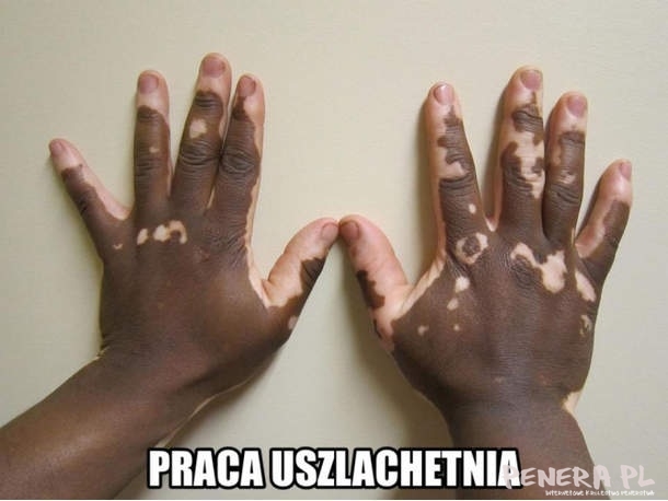 Praca uszlachetnia