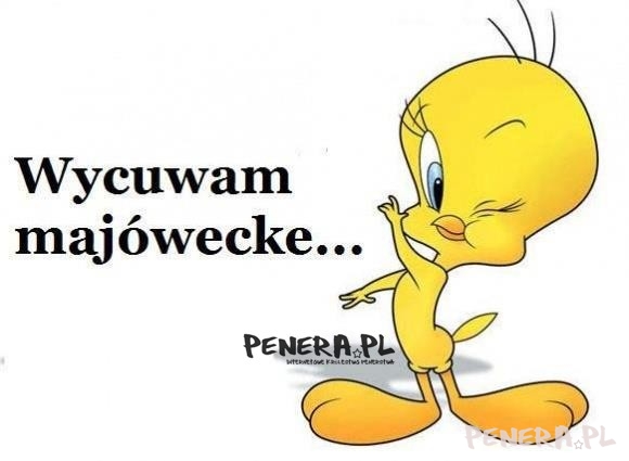 Wycuwam majówecke