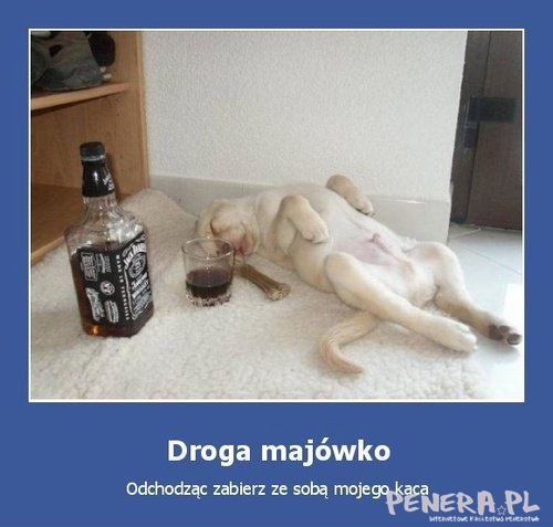 Droga majówko