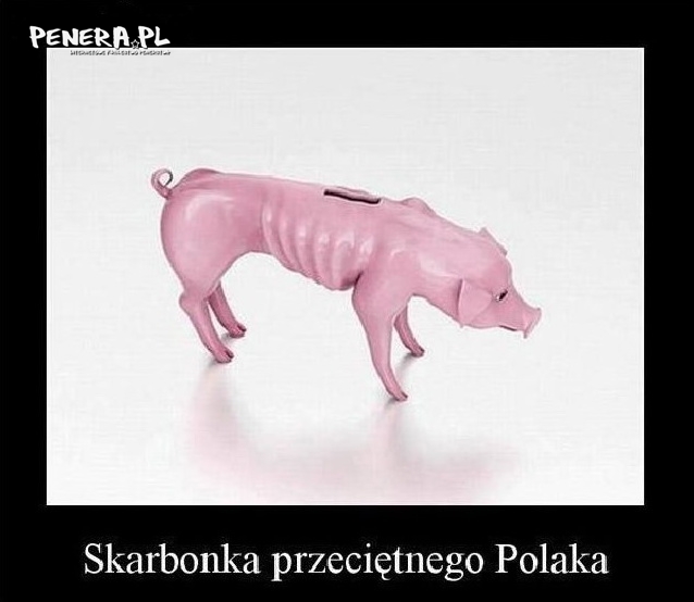 Skarbonka przeciętnego Polaka