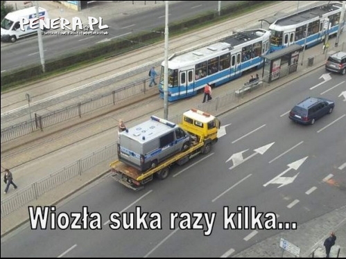 Wiozła suka razy kilka