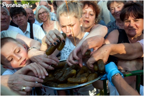 Niby ogórki a jednak cebula