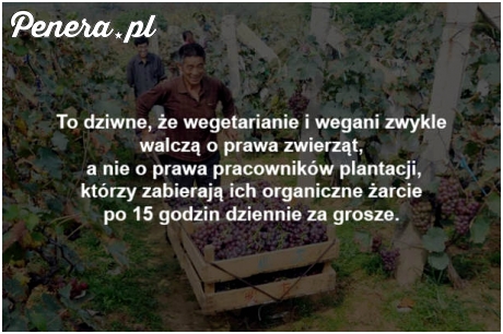 Paradoks wegetarian i wegan