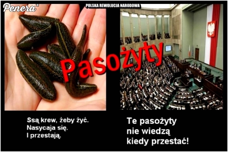 To są właśnie pasożyty