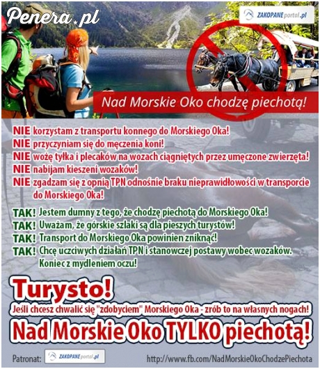 Turysto - Nad Morskie Oko tylko piechotą