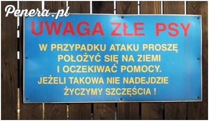 Uwaga złe psy :D