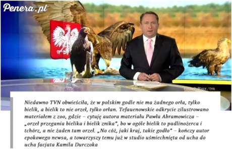 Według TVNu Bielik to nie orzeł